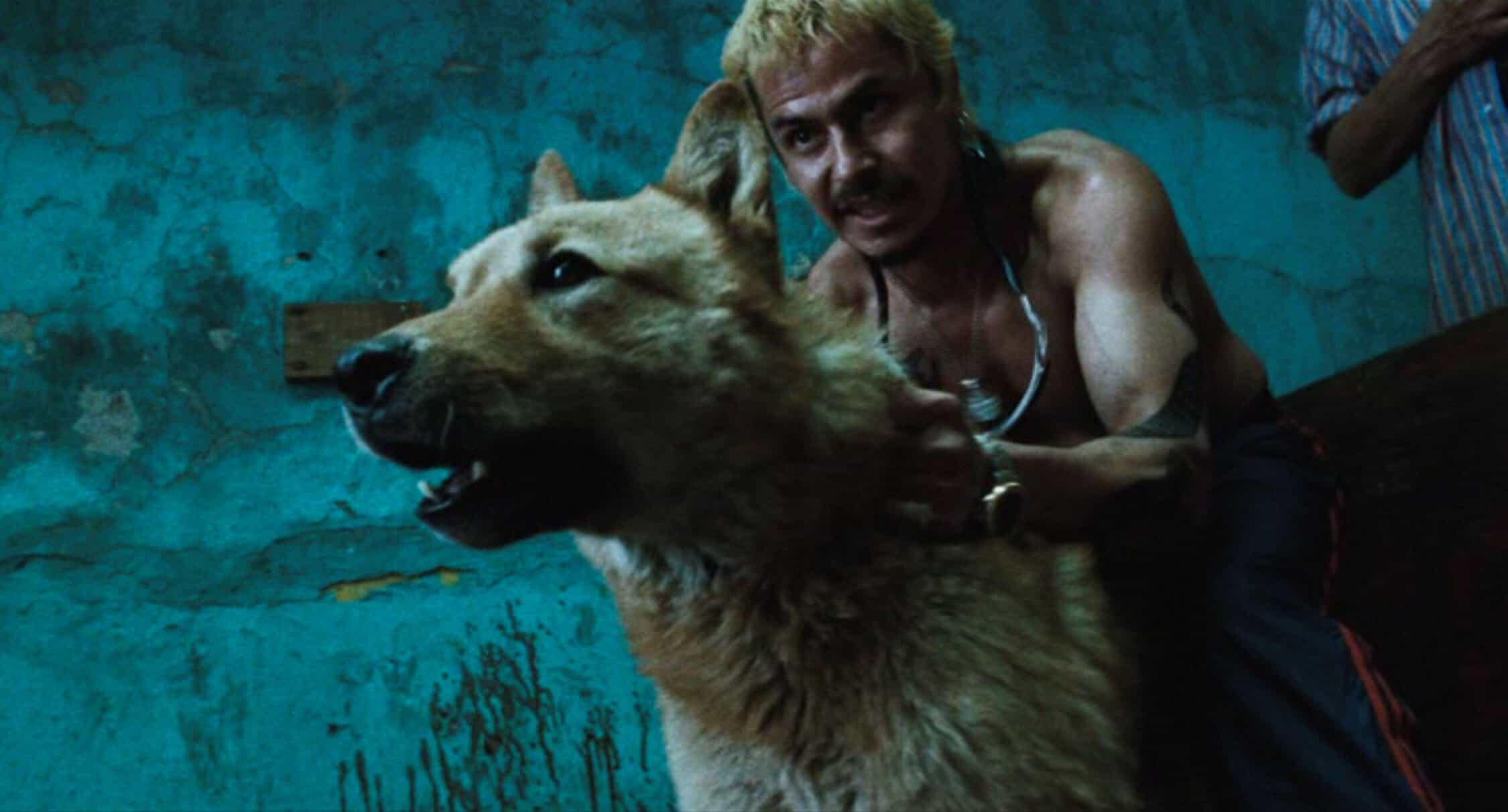 Amores Perros